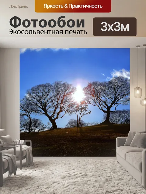 Фотообои Небо