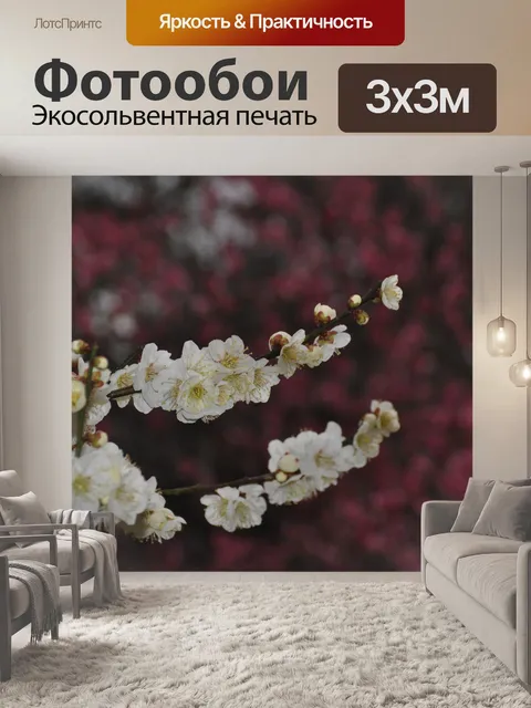 Фотообои Цветение вишни