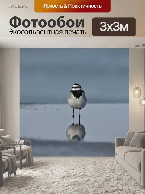 Фотообои Животное