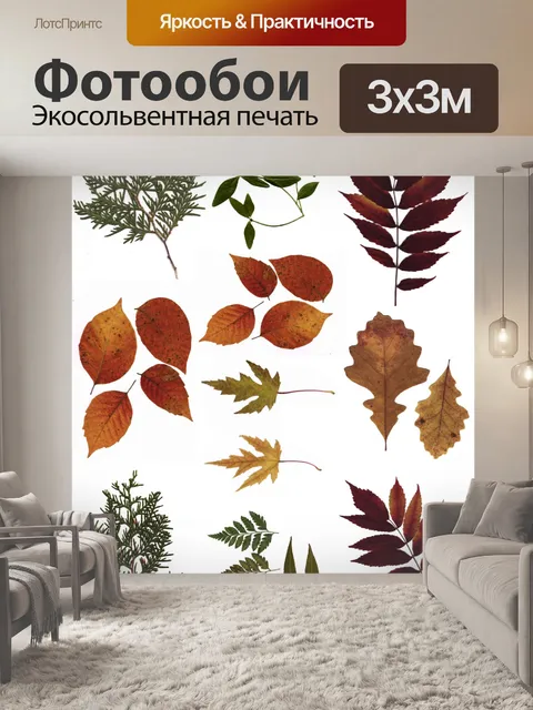 Фотообои Лист коллажа с прессованным листом
