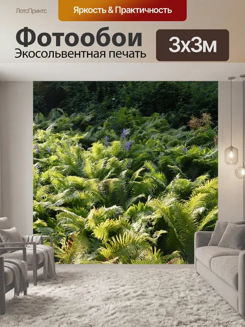Фотообои Папоротники