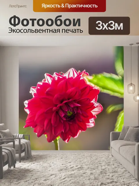 Фотообои Цветок