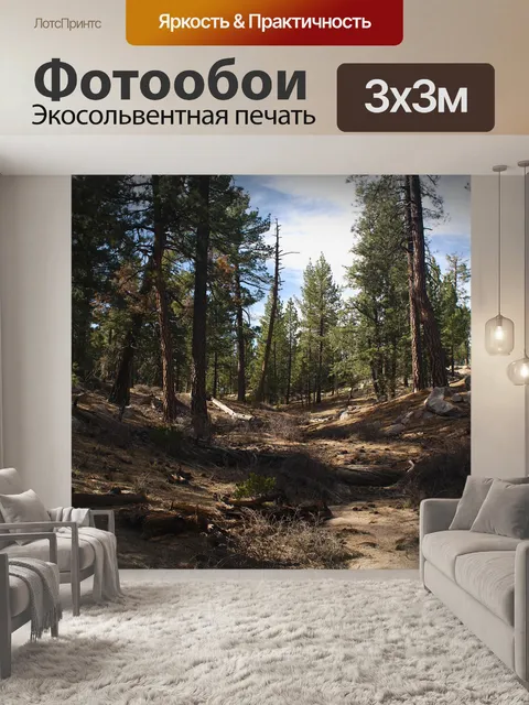 Фотообои Лес