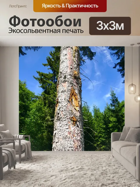 Фотообои Лес