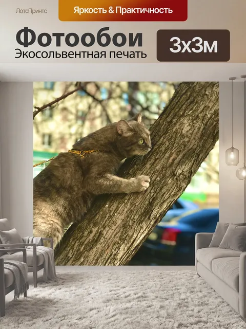 Фотообои Кошка
