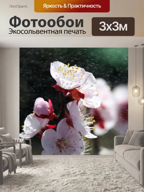 Фотообои Флора