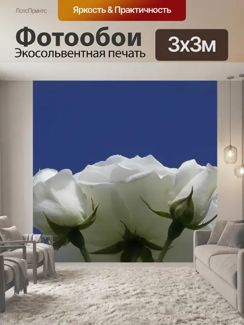 Фотообои Розы цветы