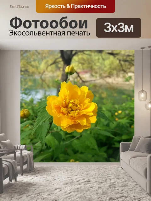 Фотообои Желтый цветок