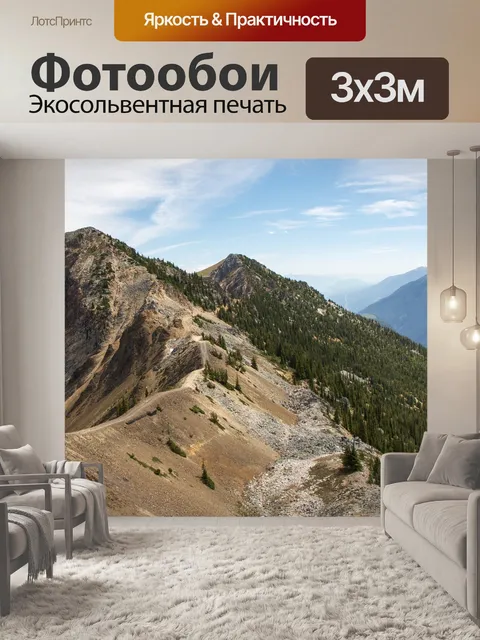 Фотообои Ногой лошадь