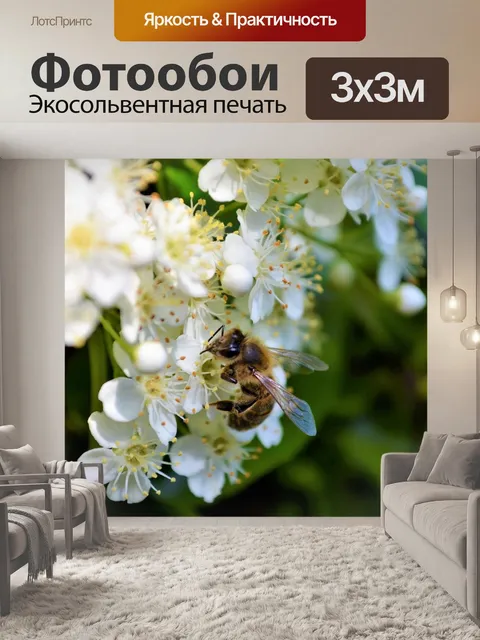 Фотообои Ницца
