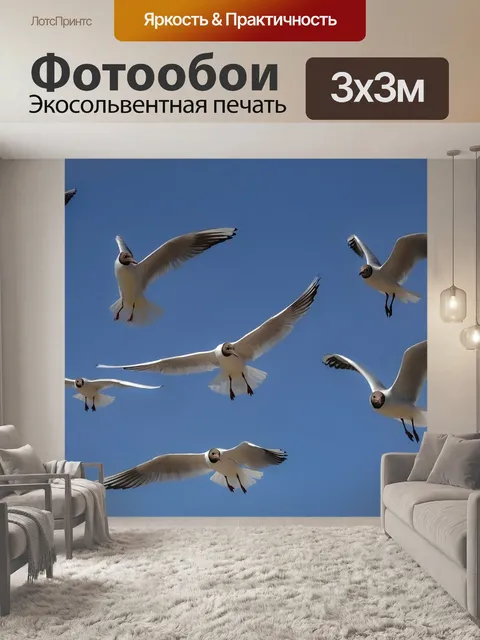 Фотообои Чайки