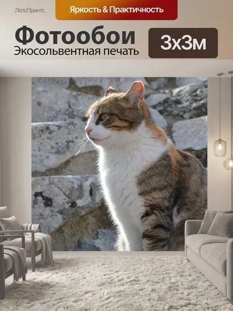Фотообои Кошка