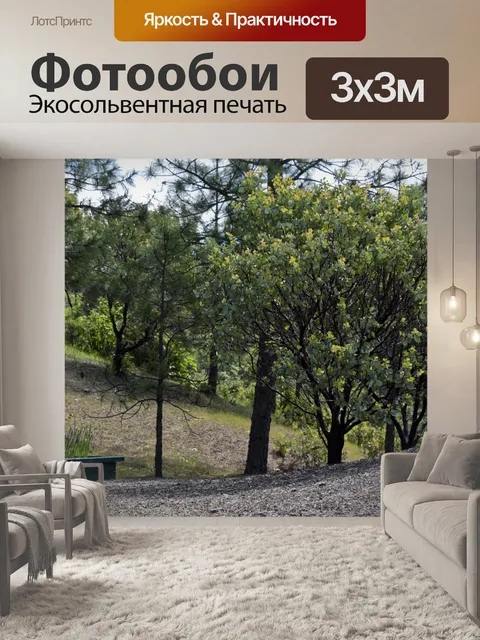 Фотообои Dell