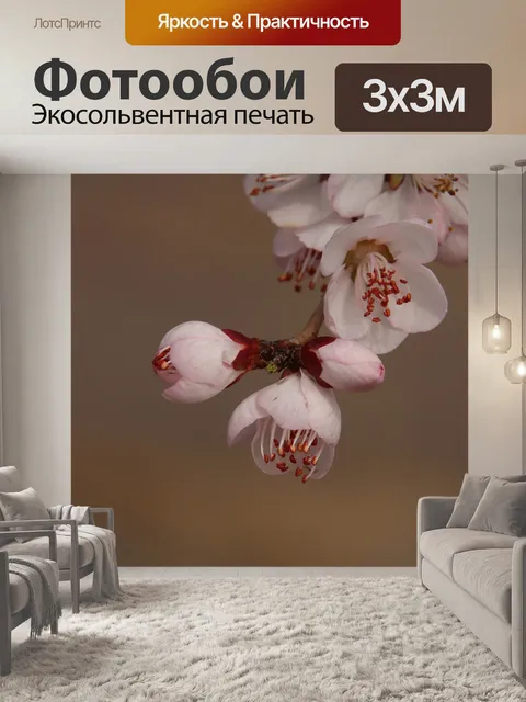 Фотообои Персиковый цвет