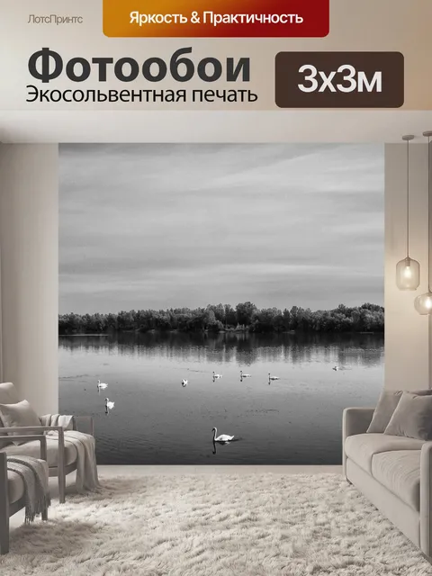 Фотообои Лебеди II