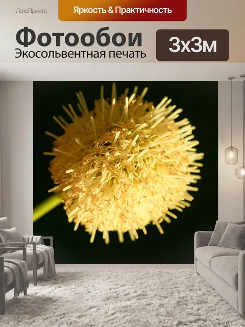 Фотообои Зеленое семя Белый цветок попинака
