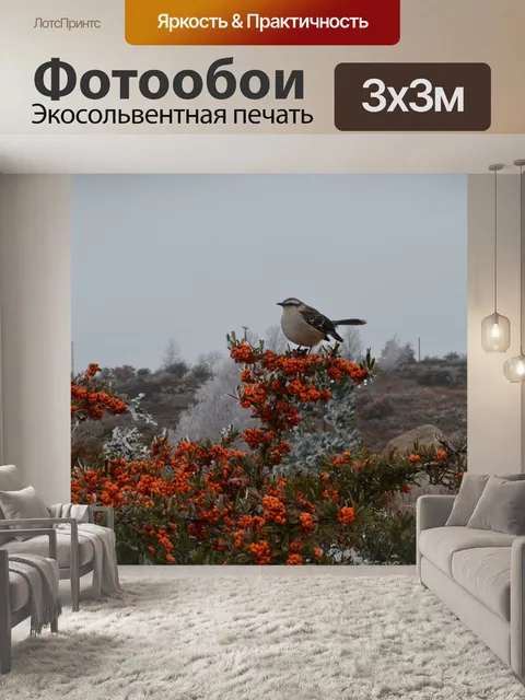 Фотообои Птица