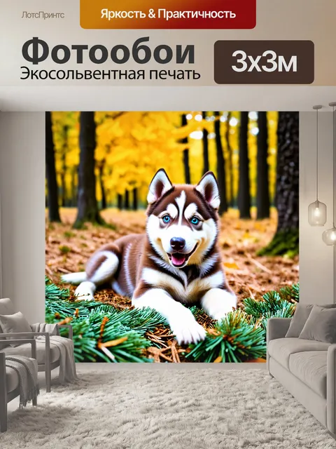 Фотообои Щенок хаски с голубыми глазами, лежит на лесной подстилке из сосновых иголок