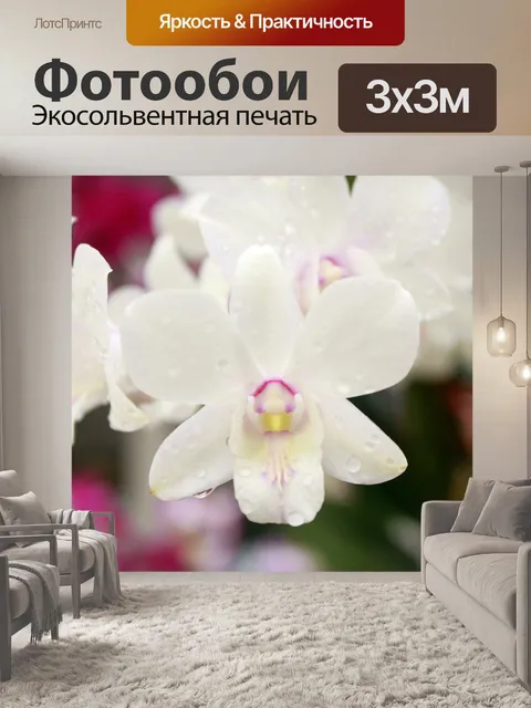 Фотообои Цветок орхидеи цветы
