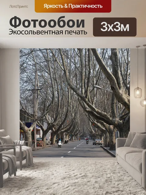Фотообои Деревьев вдоль дороги