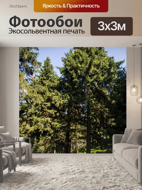 Фотообои лес