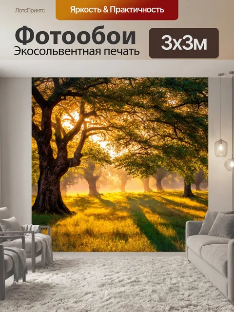 Фотообои рассвет на основе вековых деревьев, где свет создает игру теней, которые напоминают о солнечном дне