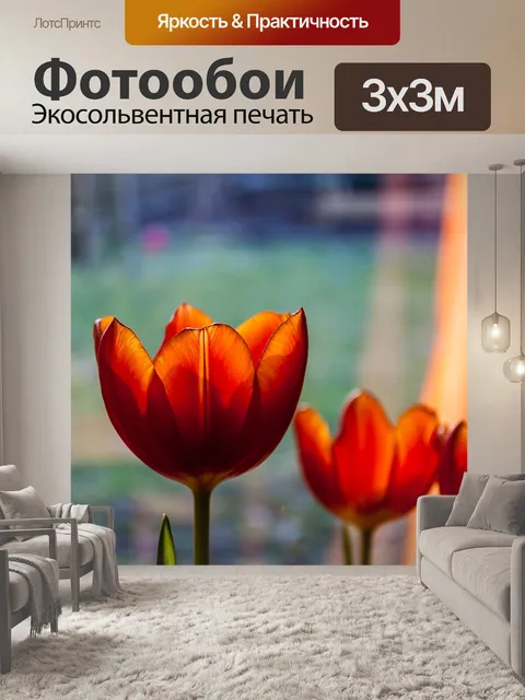 Фотообои Тюльпаны