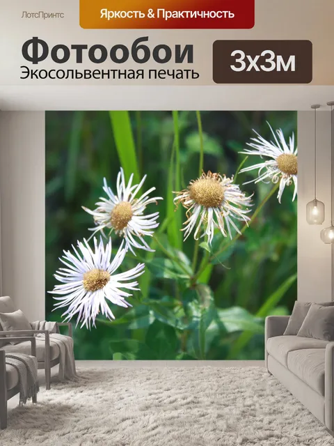 Фотообои Цветы