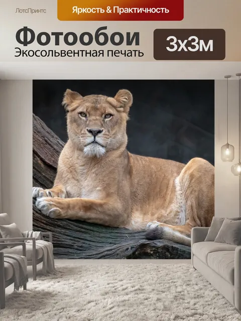 Фотообои Лев