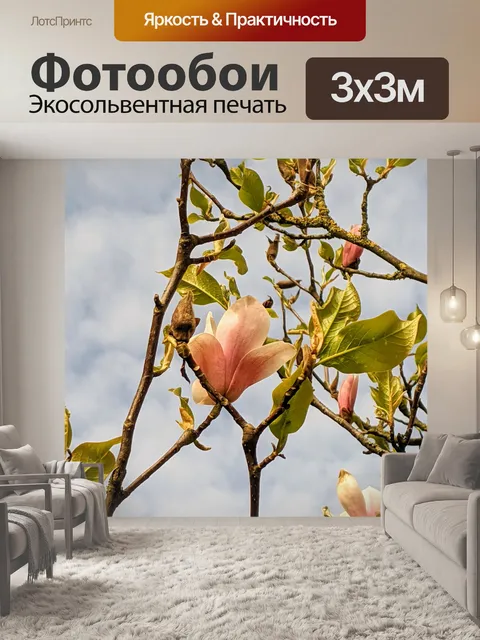 Фотообои Планы