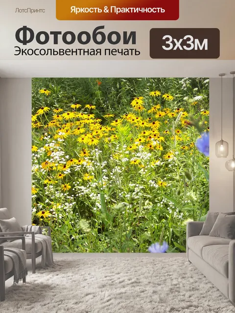 Фотообои Полевые цветы