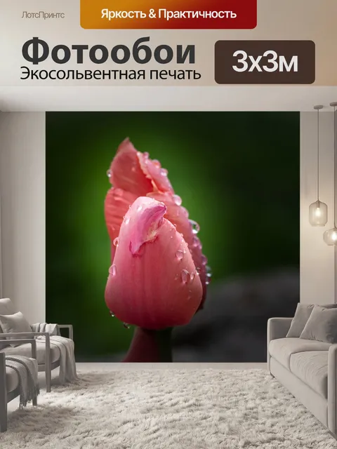 Фотообои Тюльпан