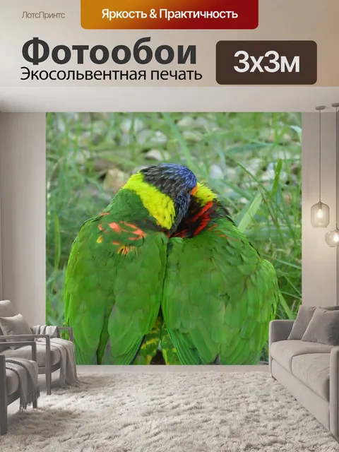 Фотообои Птицы