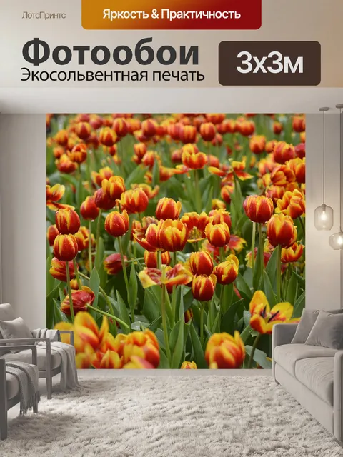 Фотообои Цветок
