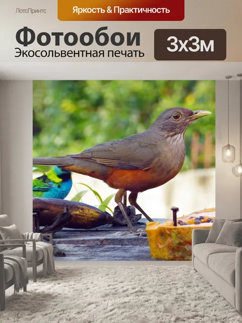 Фотообои Птицы