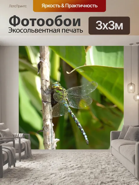 Фотообои Стрекоза на ветке