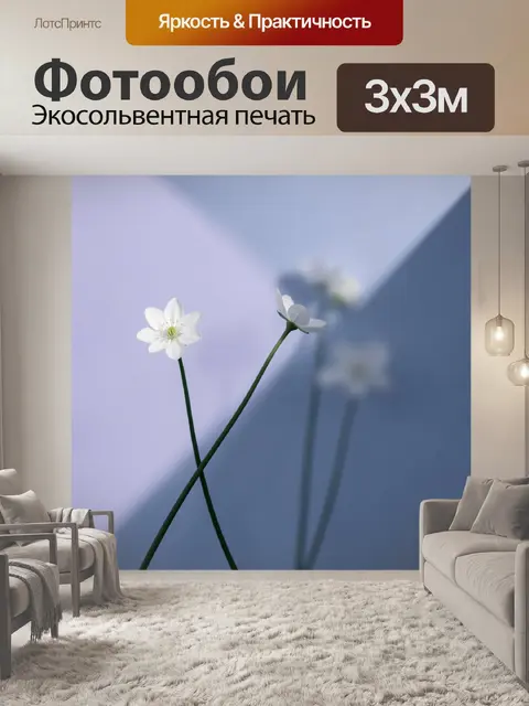 Фотообои Белые цветы в мягком свете