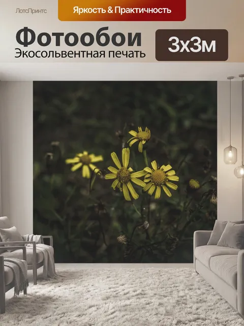 Фотообои Темный