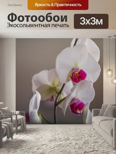 Фотообои Цветок