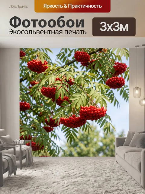 Фотообои Красные ягоды рябины на ветках