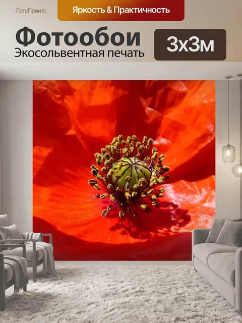 Фотообои Мак