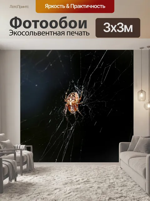 Фотообои Паук