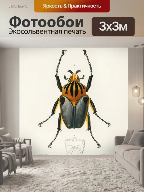 Фотообои Жук винтаж арт старый