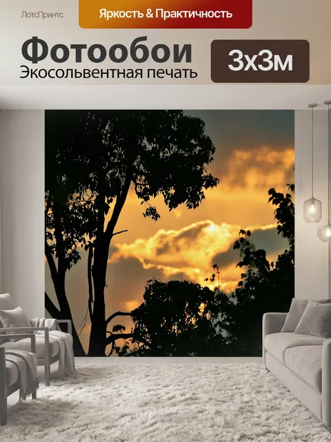 Фотообои Закат силуэт