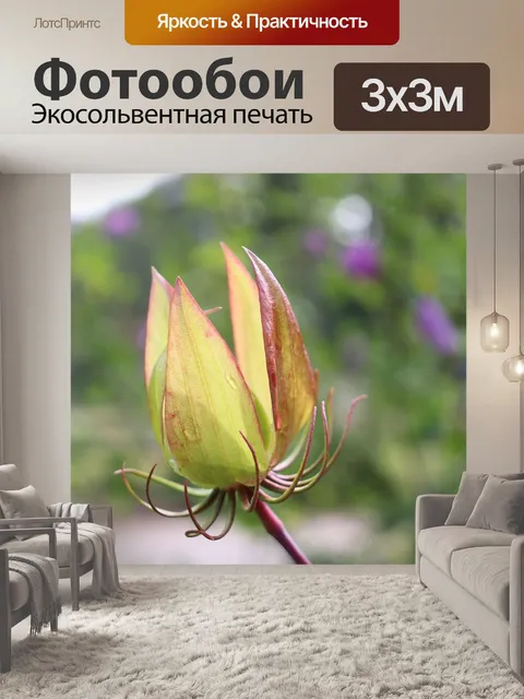 Фотообои Цветы
