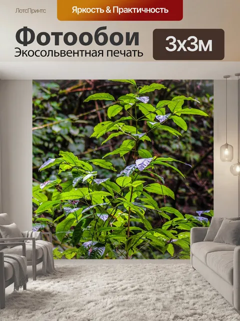 Фотообои Джунгли