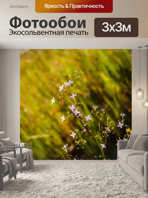 Фотообои Трава цветочное поле, полевые цветы