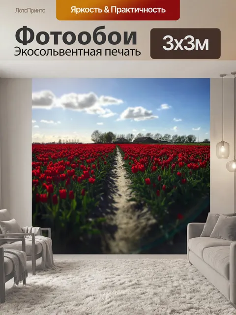 Фотообои Тюльпаны