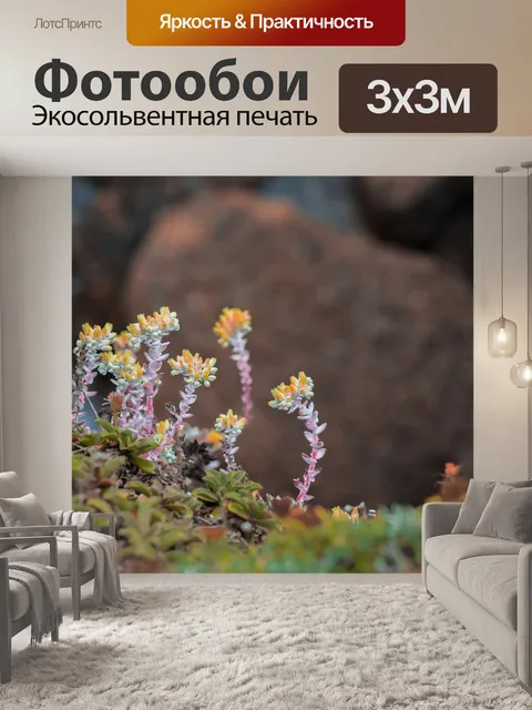 Фотообои Деревья