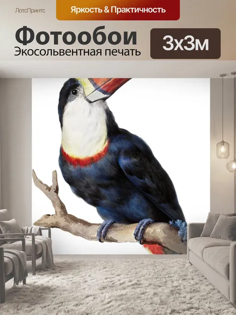 Фотообои Тукан